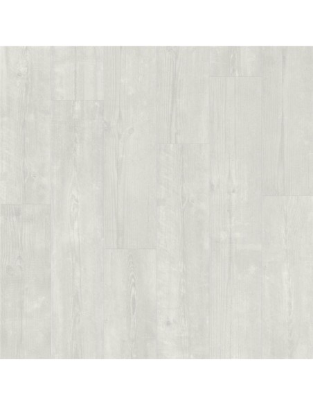 Quick Step - Sosna śnieżna