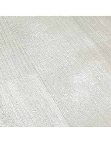 Quick Step - Sosna śnieżna